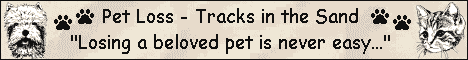 Pet Loss - Tracks in the Sand